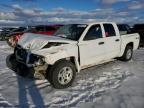 2005 DODGE DAKOTA QUAD for sale at Copart AB - EDMONTON