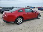 2011 Ford Mustang  for Sale in Arcadia, FL - Front End