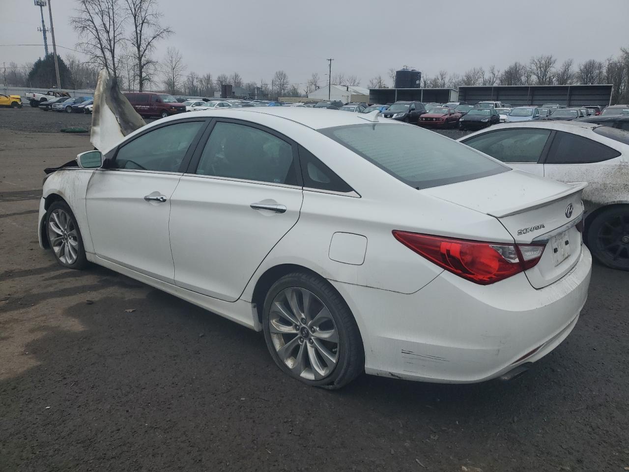 2011 Hyundai Sonata - Image 2