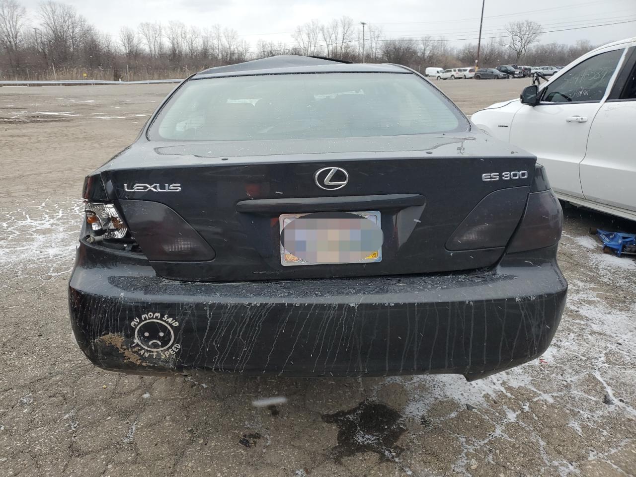 2003 Lexus Es 300 VIN: JTHBF30G336000242 Lot: 41415515