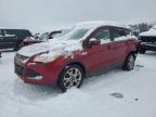 Wayland, MI에서 판매 중인 2016 Ford Escape Se - Rear End