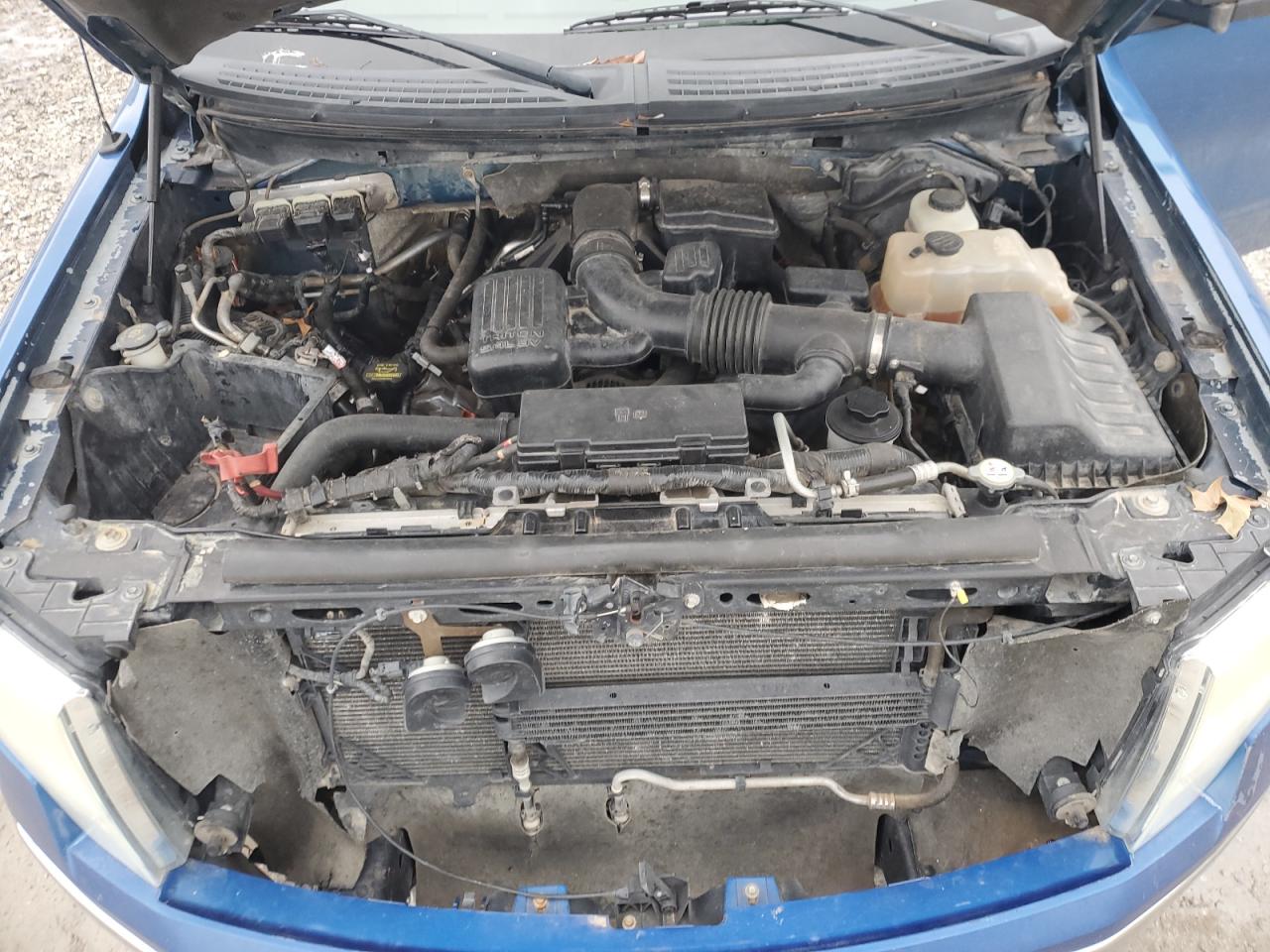 2010 Ford F-150 - Image 11