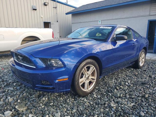 2013 Ford Mustang  zu verkaufen in Mebane, NC - Minor Dent/Scratches