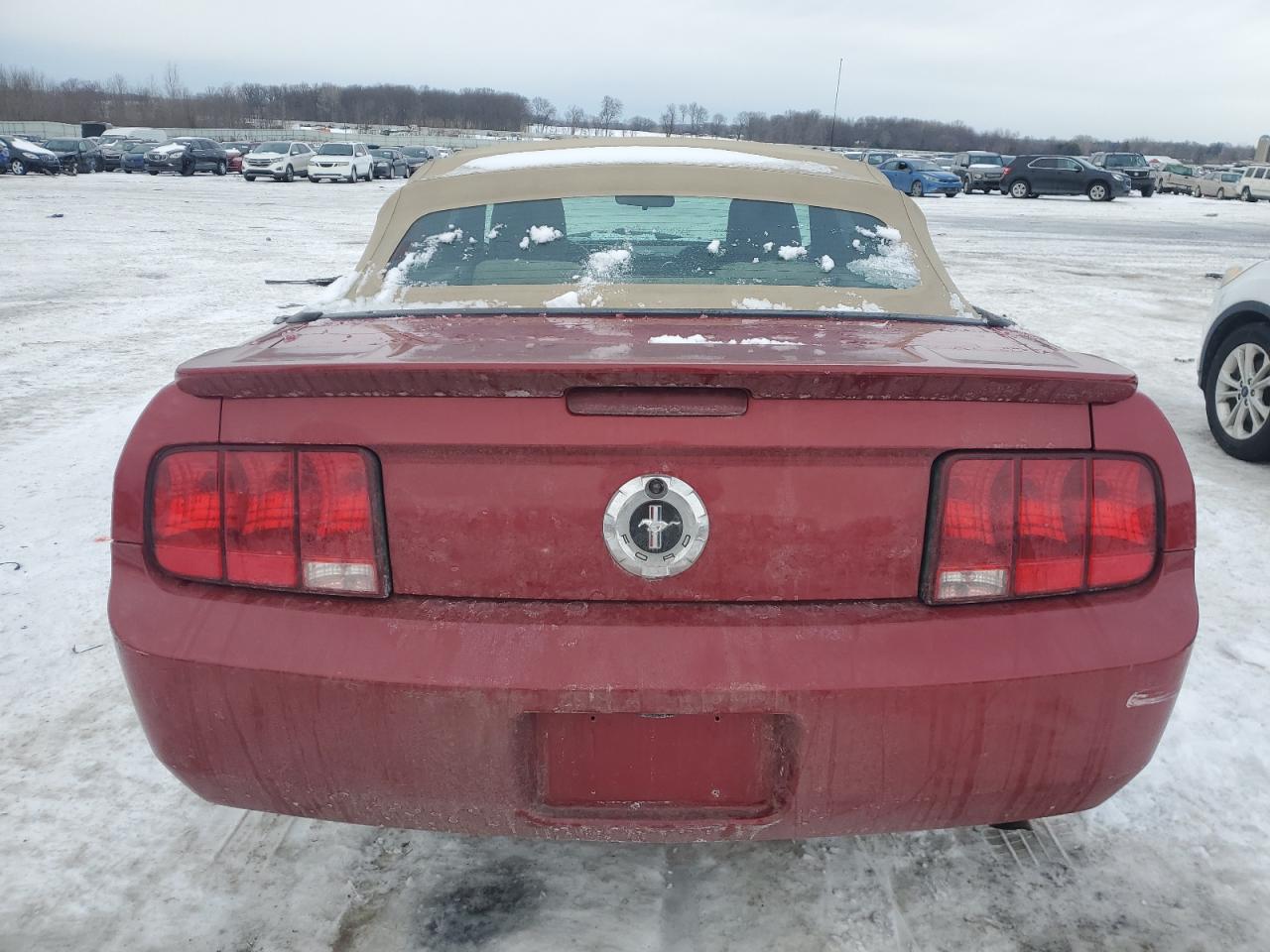 2009 Ford Mustang - Image 6