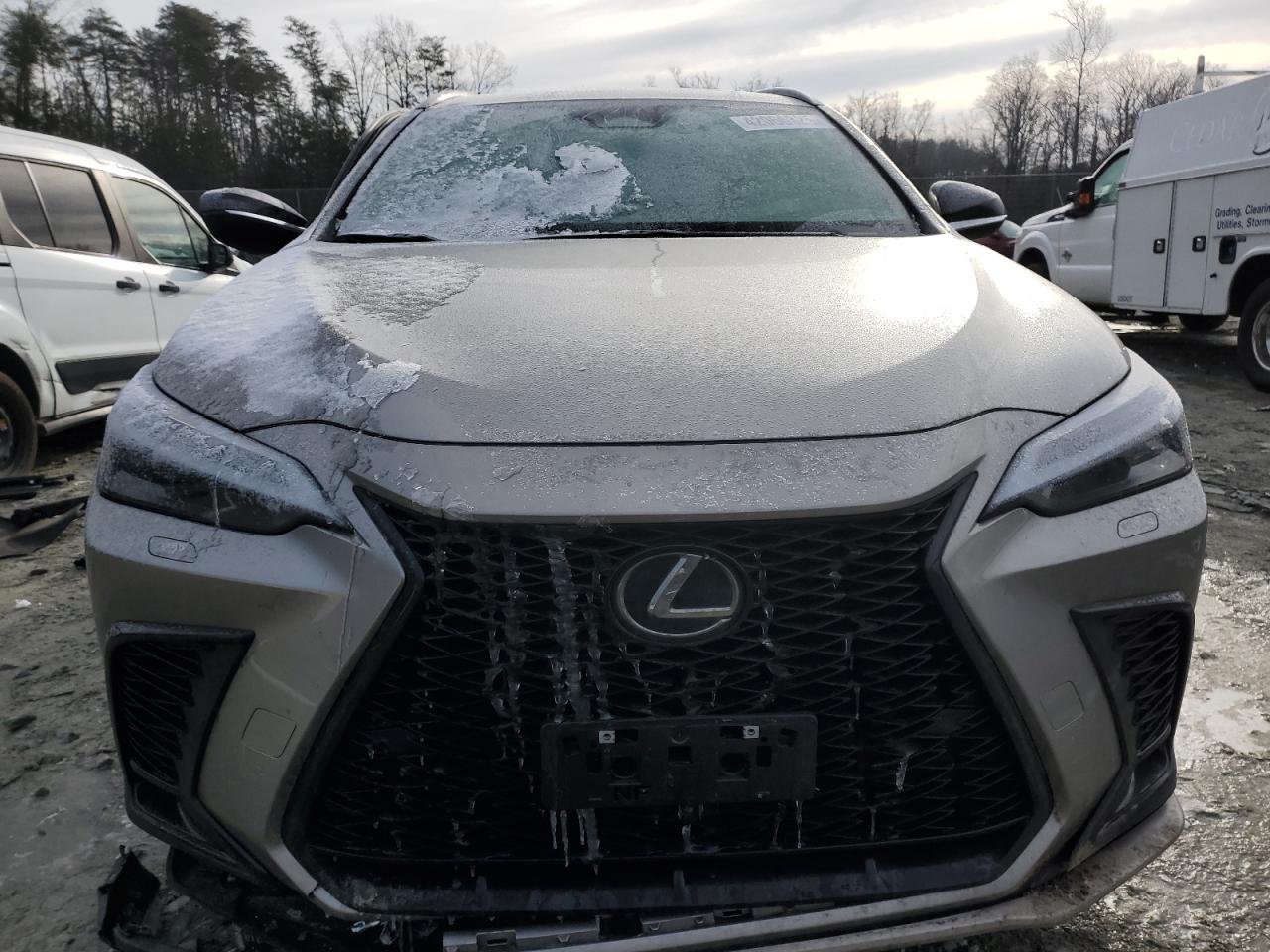 2023 Lexus NX - Image 5