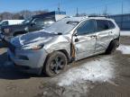 Ham Lake, MN에서 판매 중인 2016 Jeep Cherokee Limited - Side