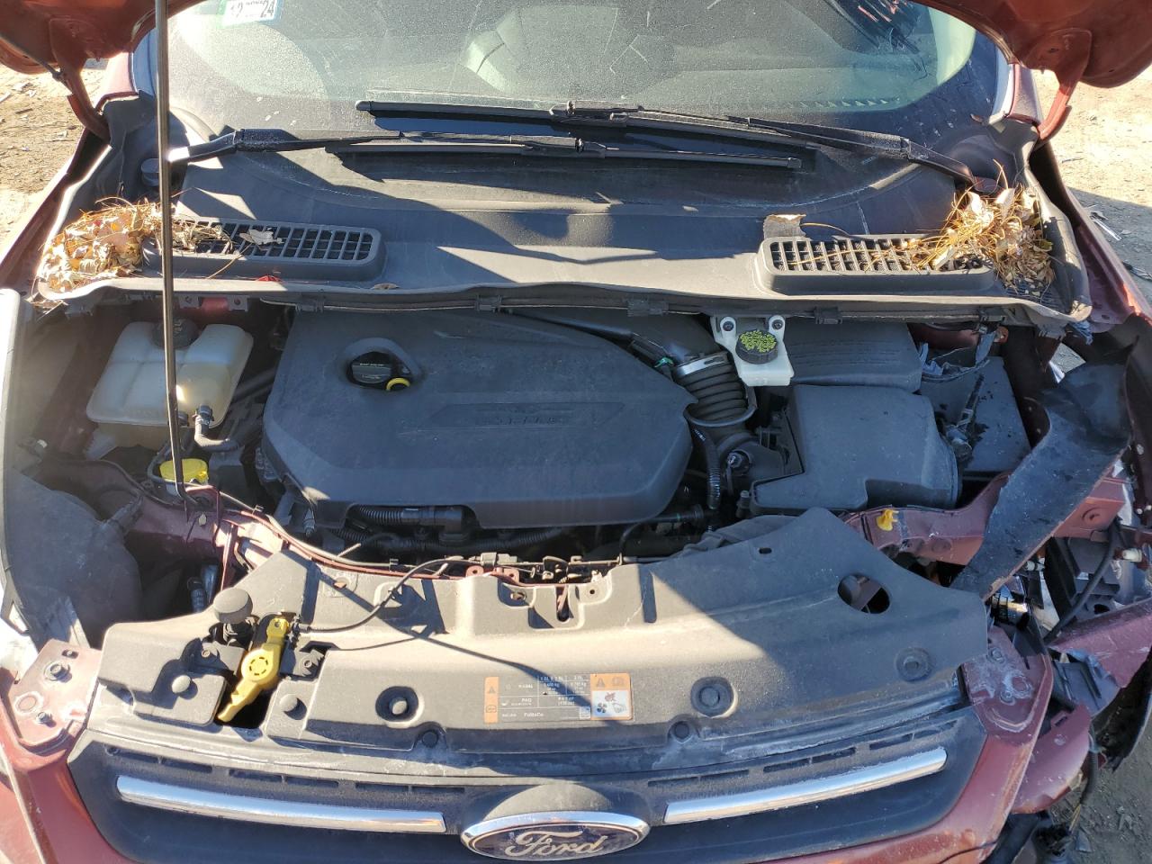 2014 Ford Escape - Image 13