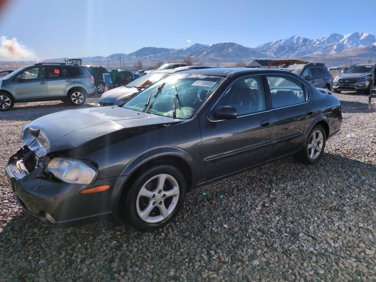 2001 Nissan Maxima - Image 1