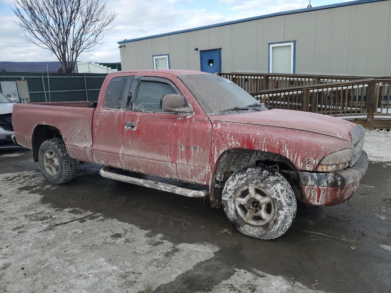 1999 Dodge Dakota - Image 4