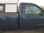 2009 Chevrolet Silverado C1500 за продажба в Glassboro, NJ - Minor Dent/Scratches