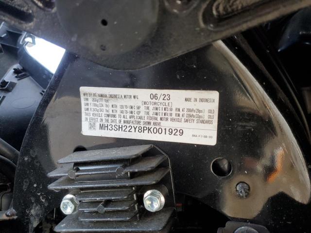 2023 YAMAHA CZD300 A