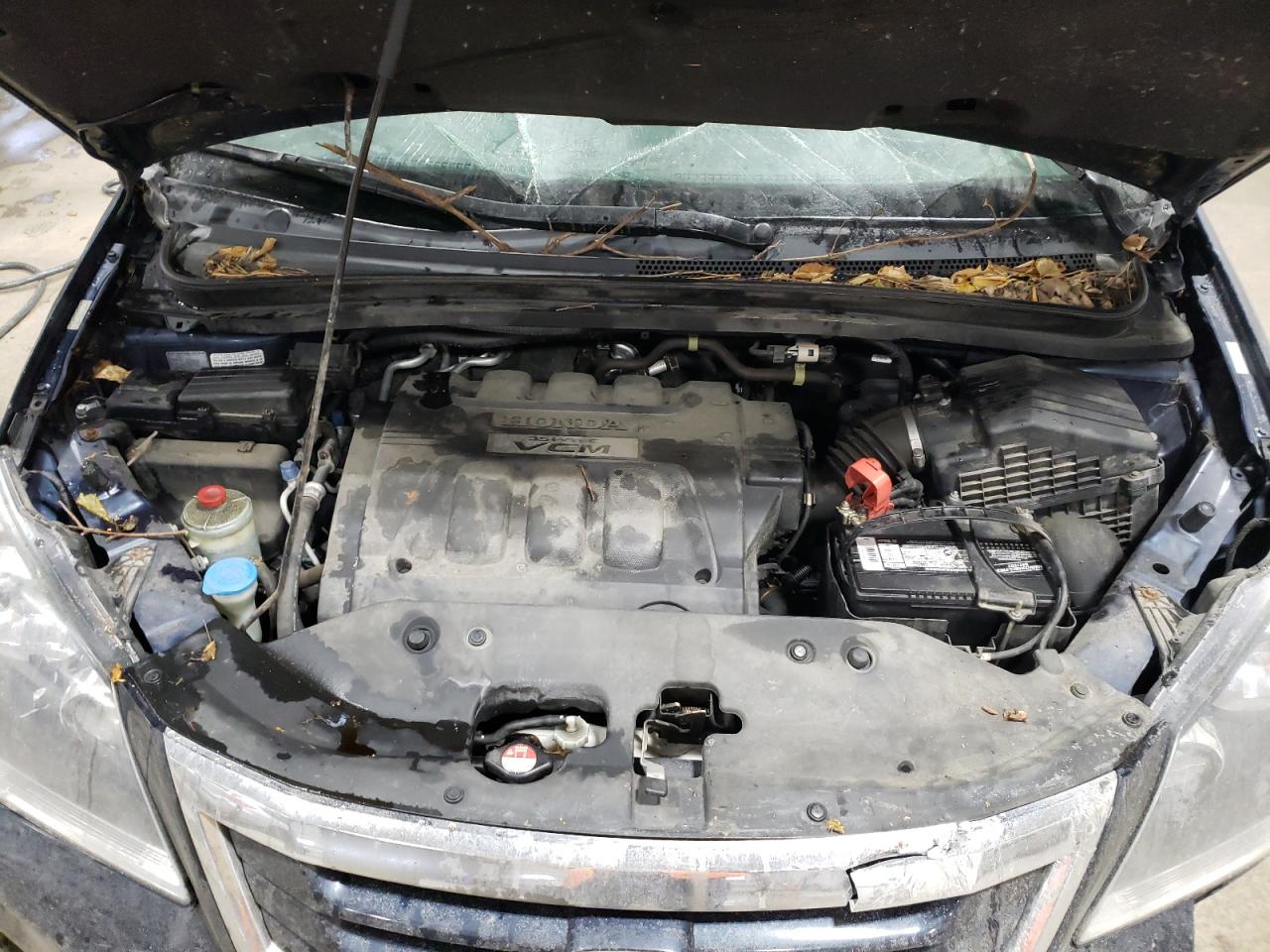 2009 Honda Odyssey Exl VIN: 5FNRL38609B411227 Lot: 87295834