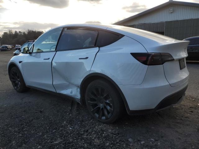  TESLA MODEL Y 2023 Белый