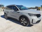 2023 Kia Sorento Ex en Venta en Apopka, FL - Rear End