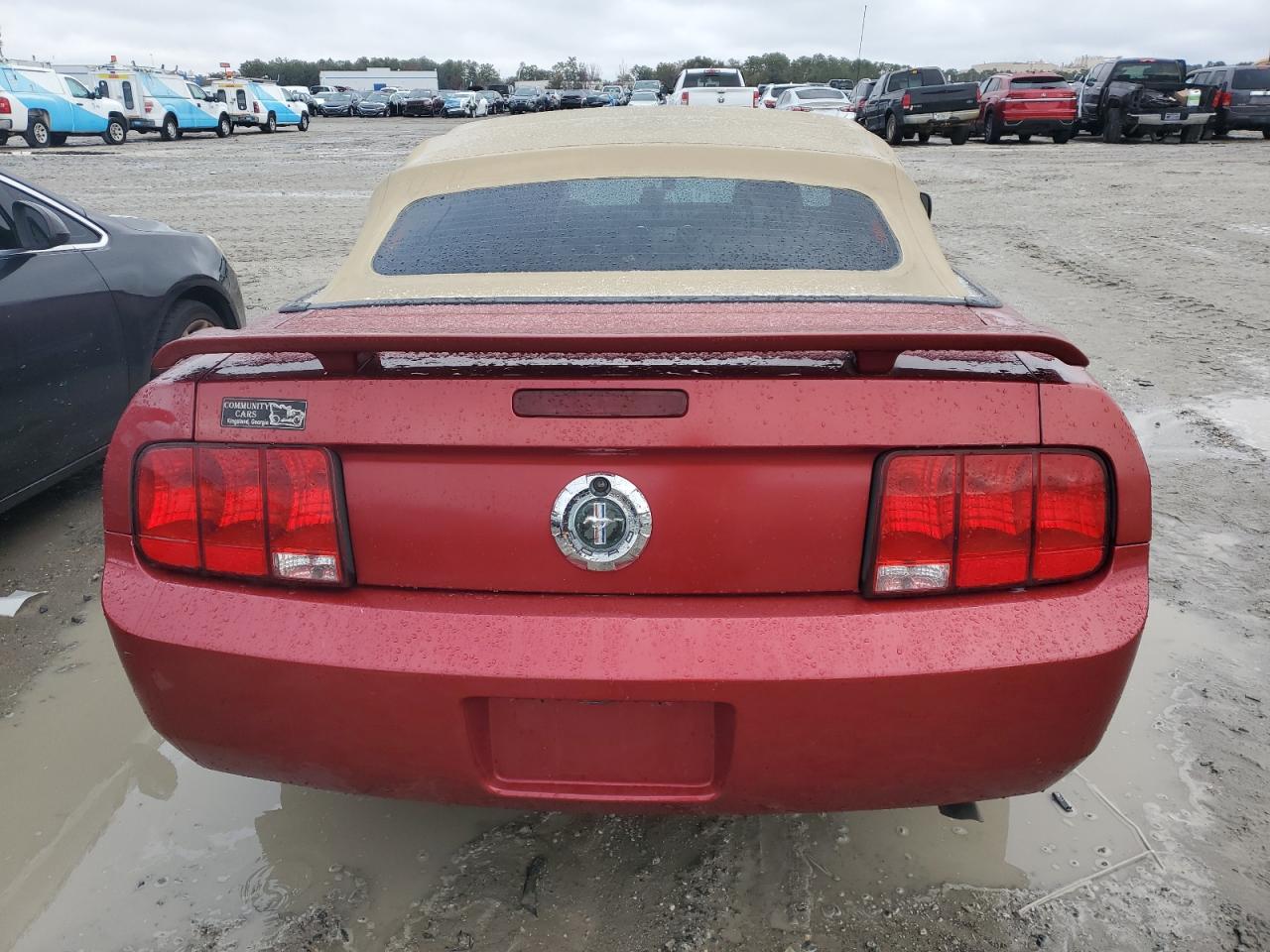 2005 Ford Mustang - Image 6