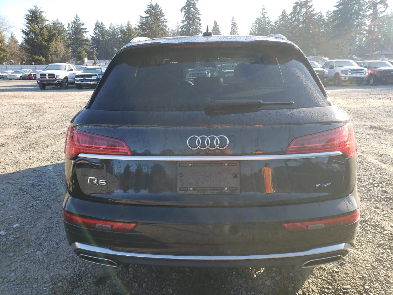 2022 Audi Q5 Premium Plus 45 VIN: WA1EAAFY9N2132816 Lot: 42763585
