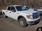 2012 Ford F150 Supercrew на продаже в Marlboro, NY - Side