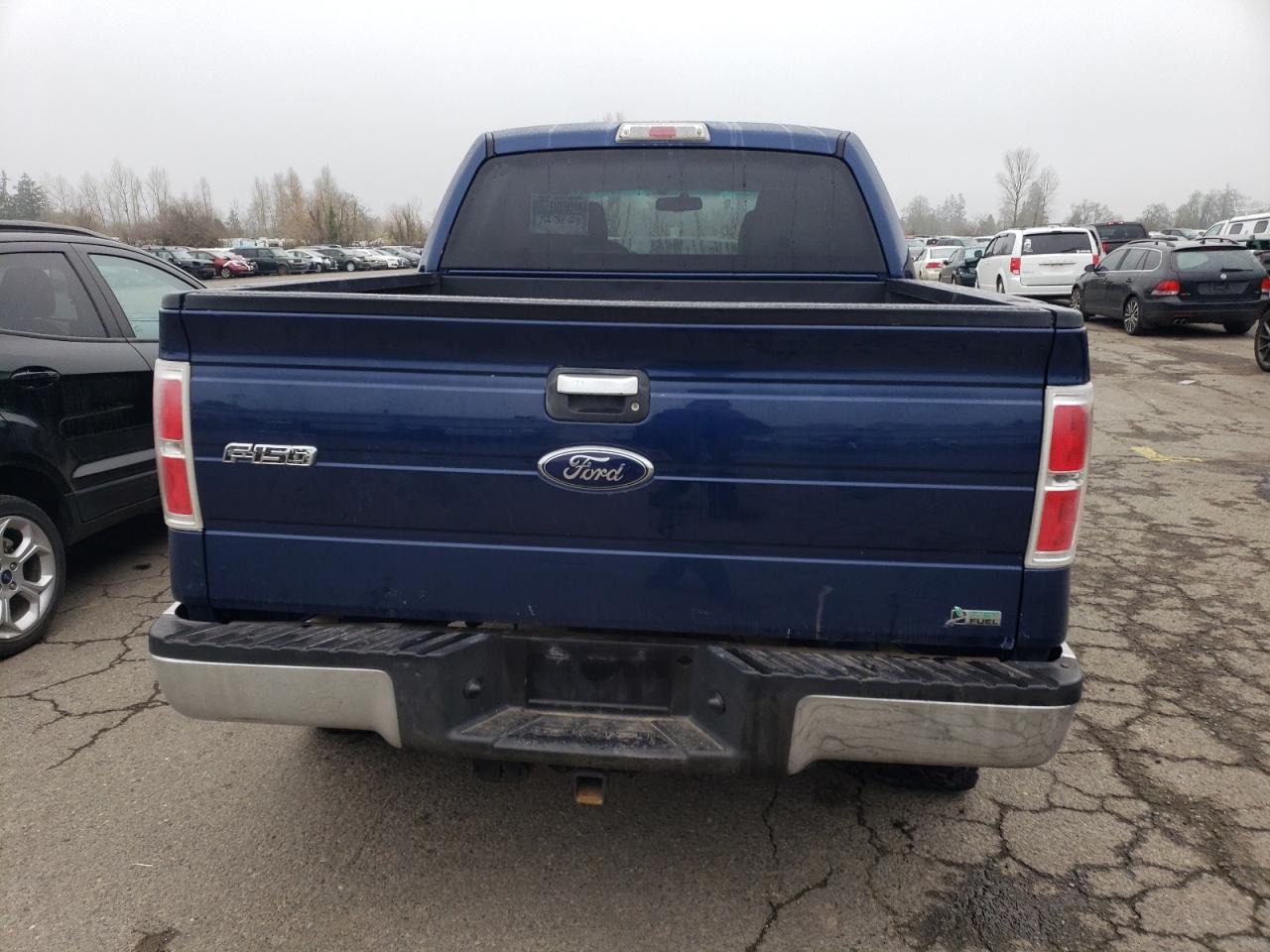 2010 Ford F150 Supercrew VIN: 1FTFW1EV6AFB99539 Lot: 87404294