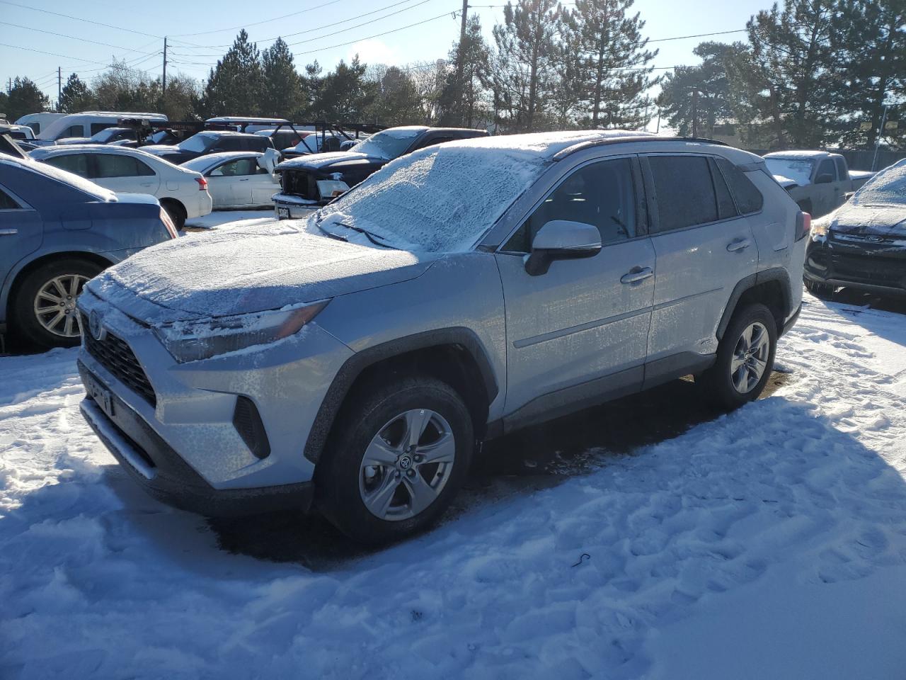 2024 Toyota RAV 4 - Image 1
