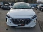 2020 Hyundai Ioniq Sel en Venta en Glassboro, NJ - Front End