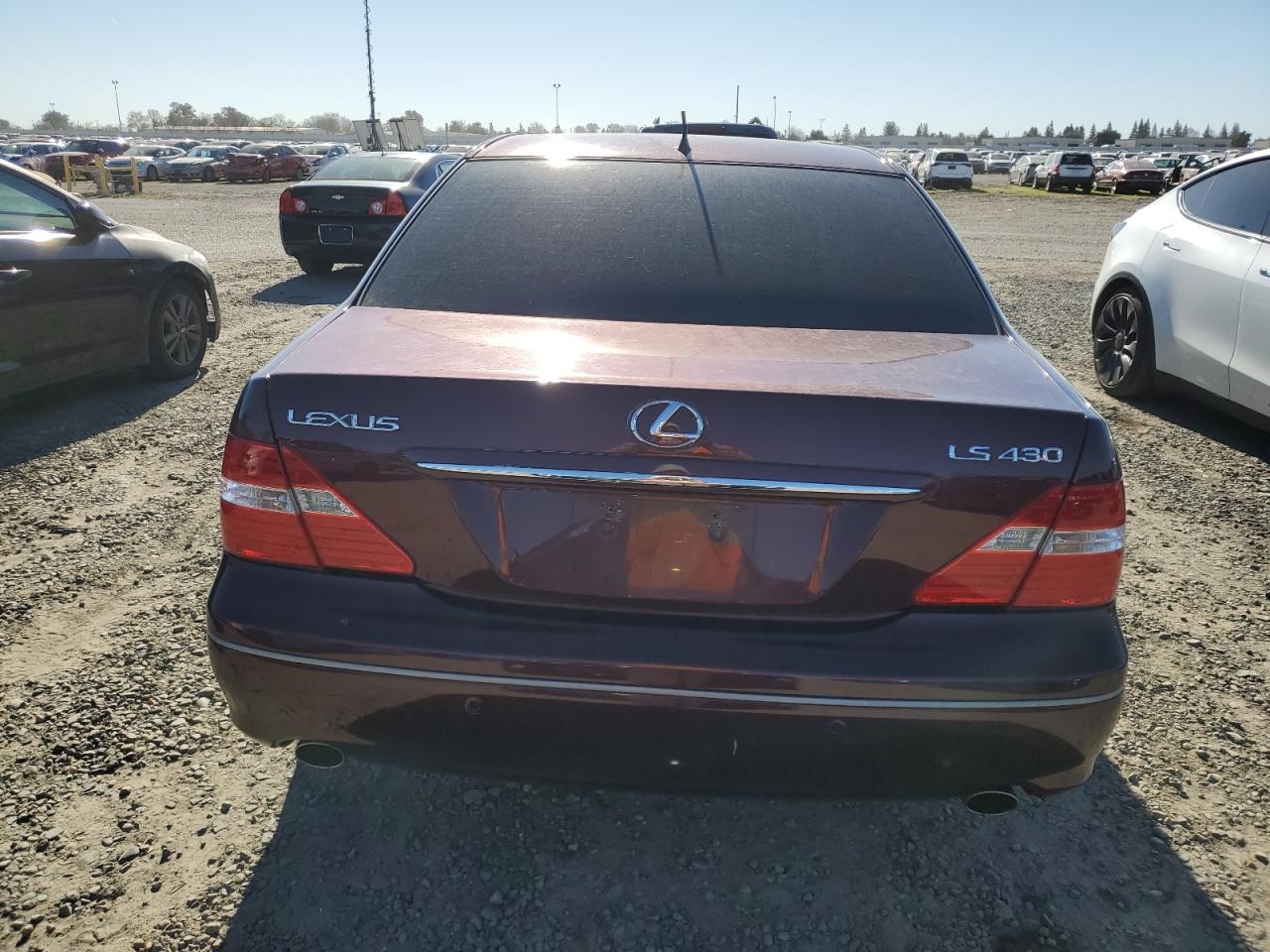 2005 Lexus LS - Image 6