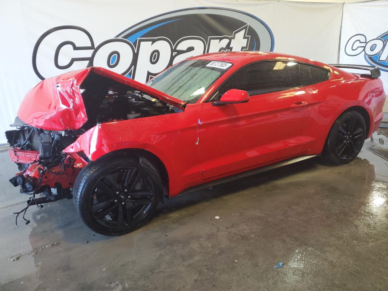 2017 Ford Mustang - Image 1