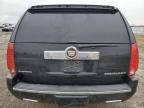 2013 Cadillac Escalade Esv Platinum for Sale in Houston, TX - Front End