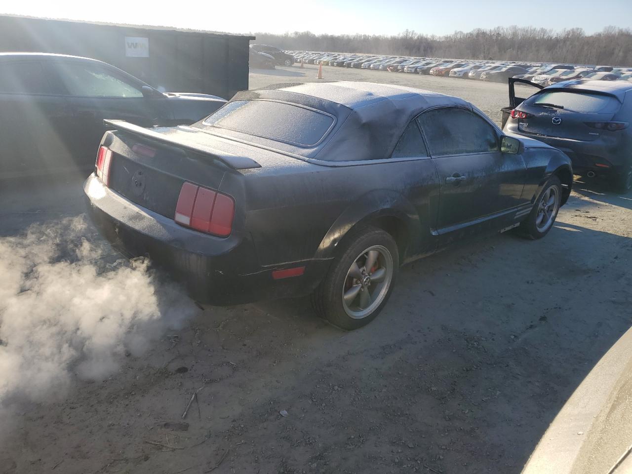 2005 Ford Mustang - Image 3