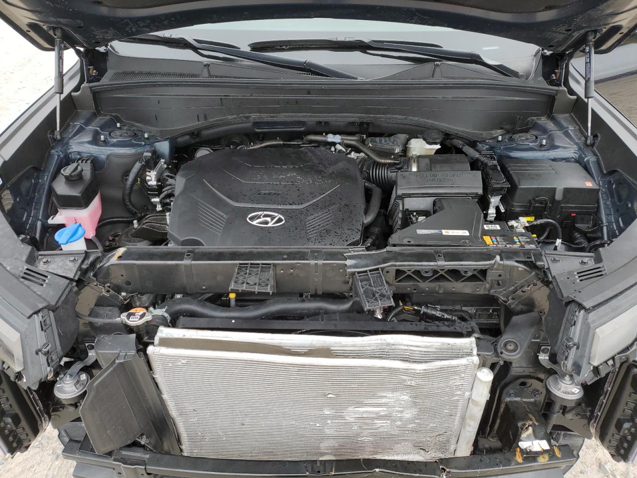 2025 Hyundai Palisade Sel VIN: KM8R24GE8SU808114 Lot: 87675985