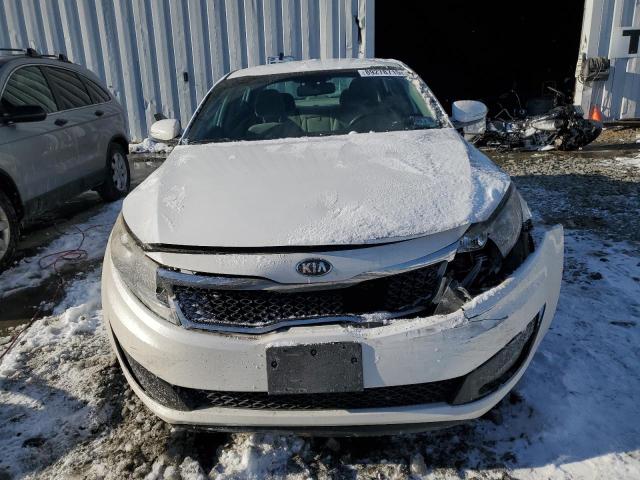  KIA OPTIMA 2013 Білий