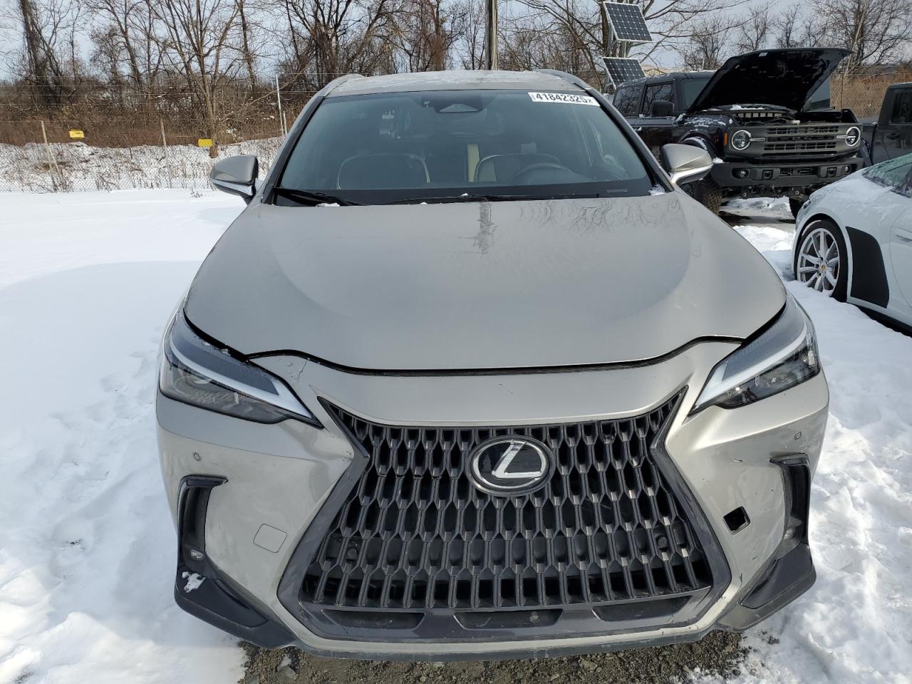 2023 Lexus NX - Image 5