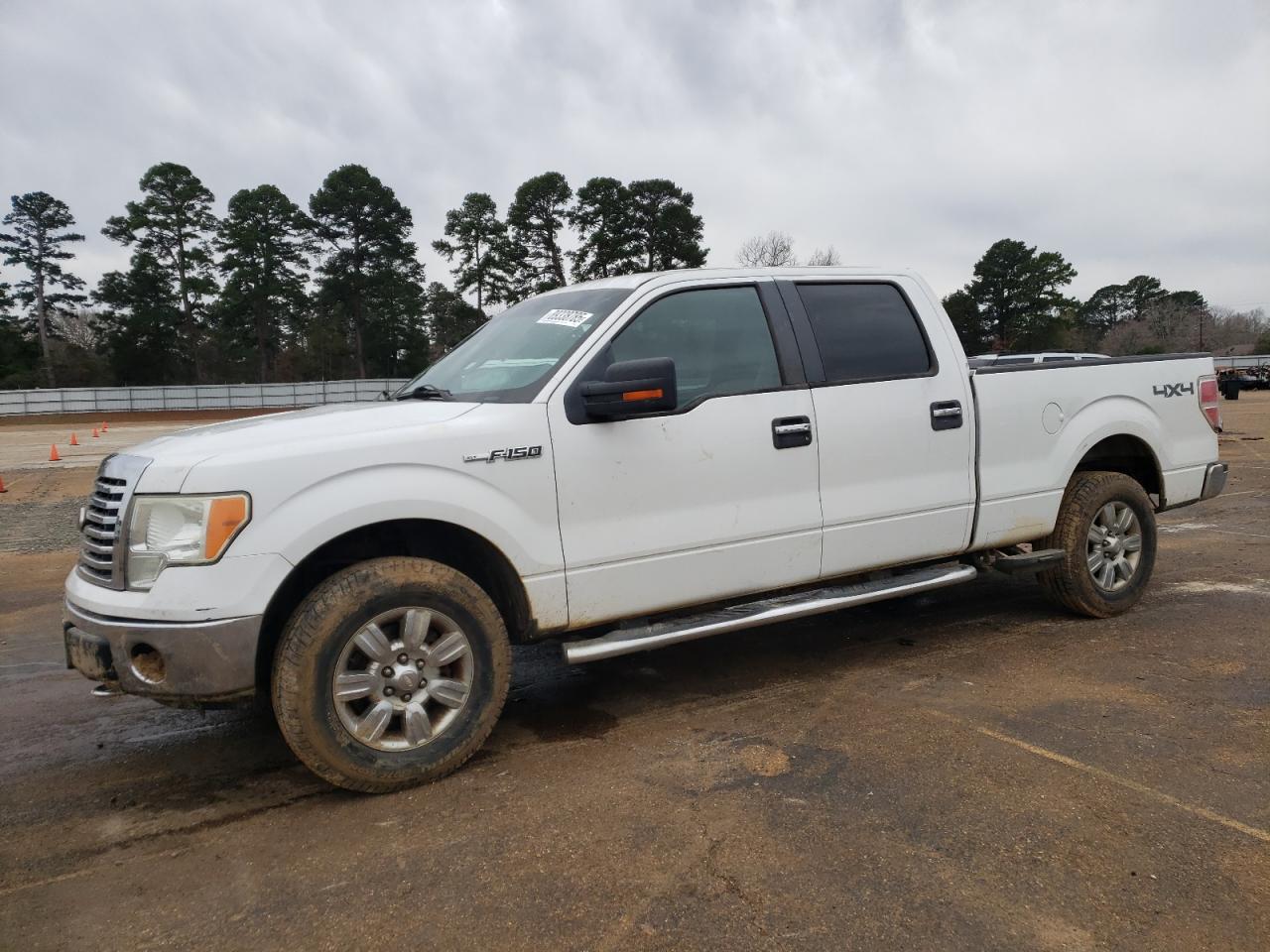 2010 Ford F-150 - Image 1