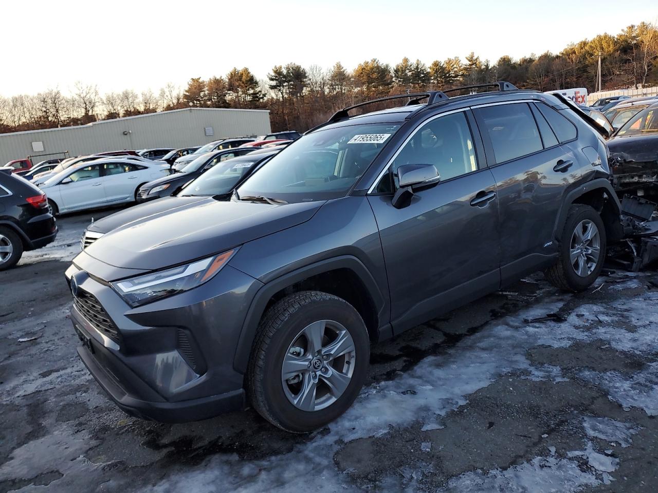 2024 Toyota RAV 4 - Image 1