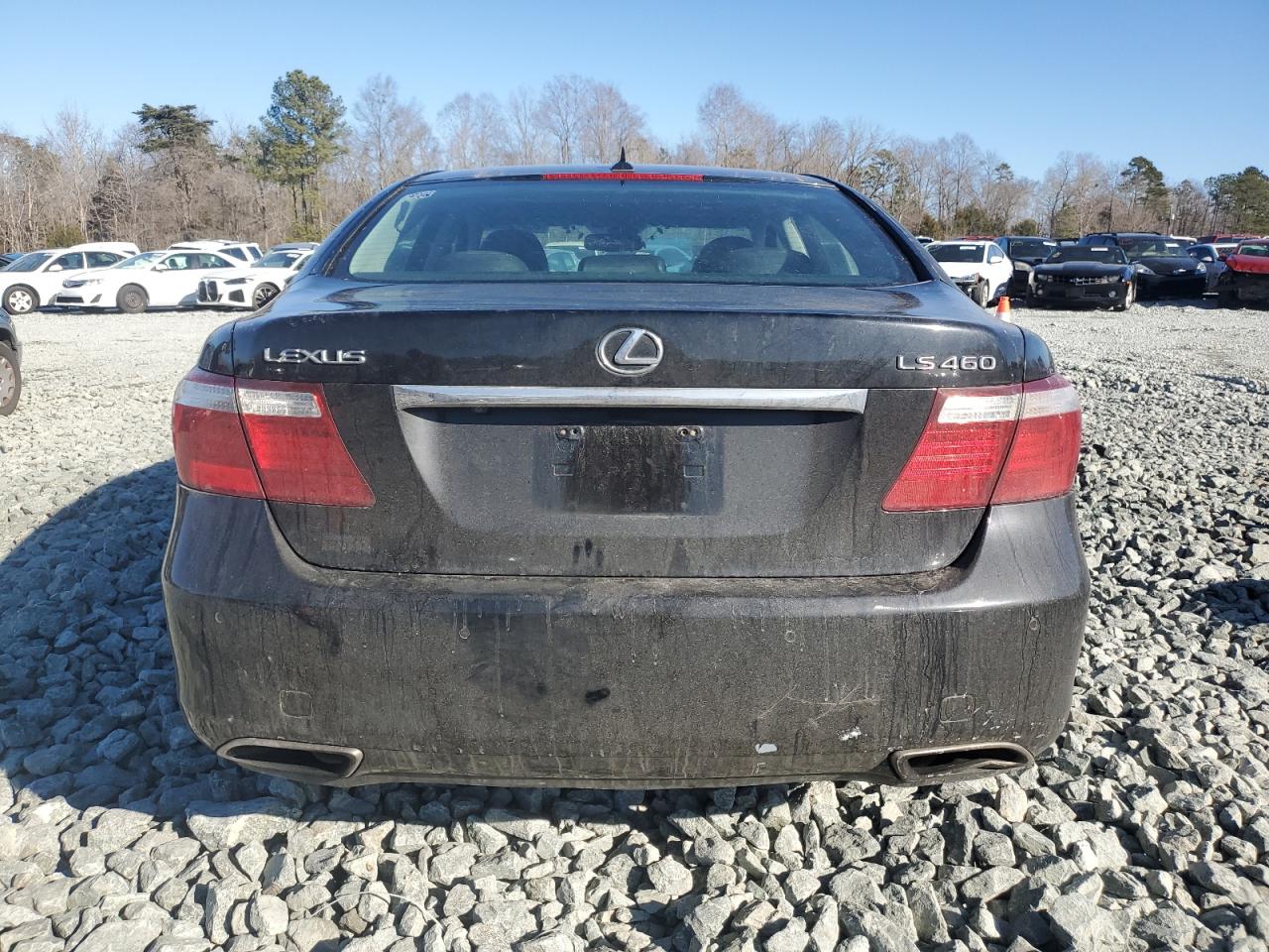 2007 Lexus LS - Image 6