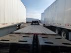 2022 Trailmaxx 40' Gn for Sale in Elgin, IL - Side