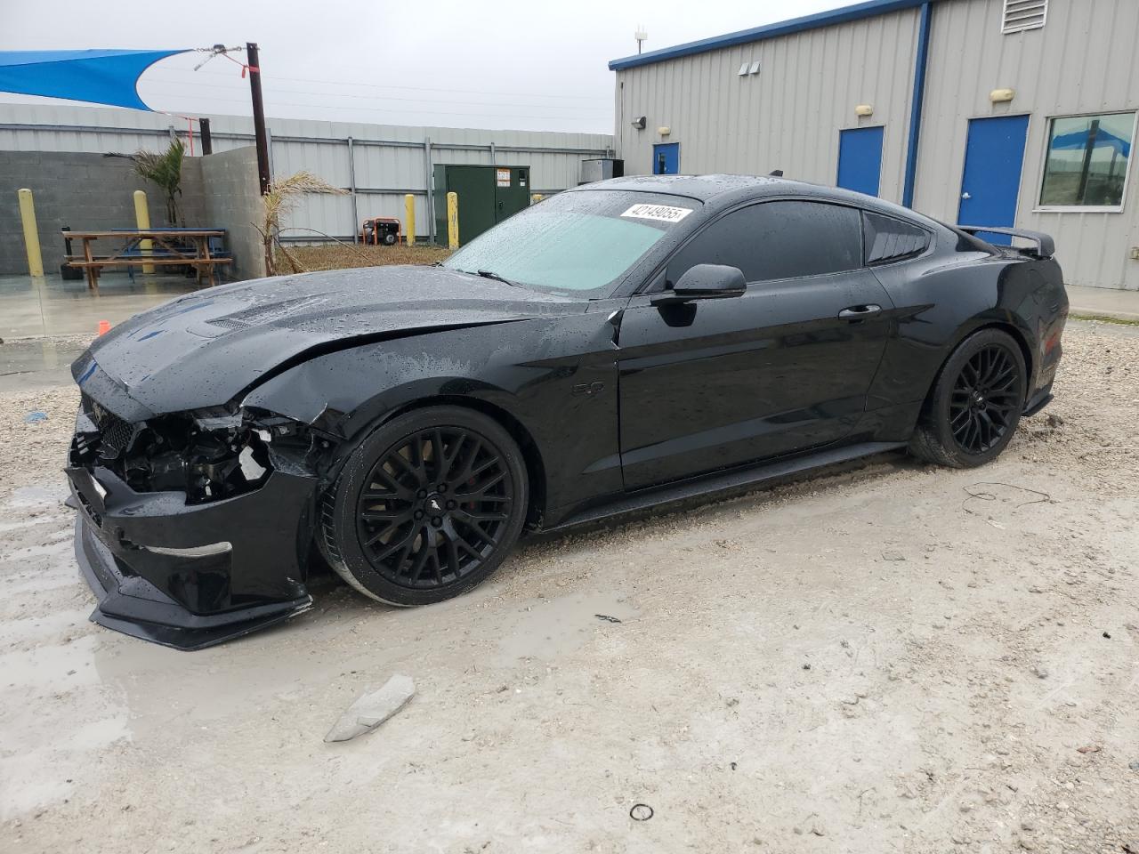 2021 Ford Mustang - Image 1