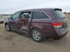 2014 Honda Odyssey Ex на продаже в Greenwood, NE - Rear End