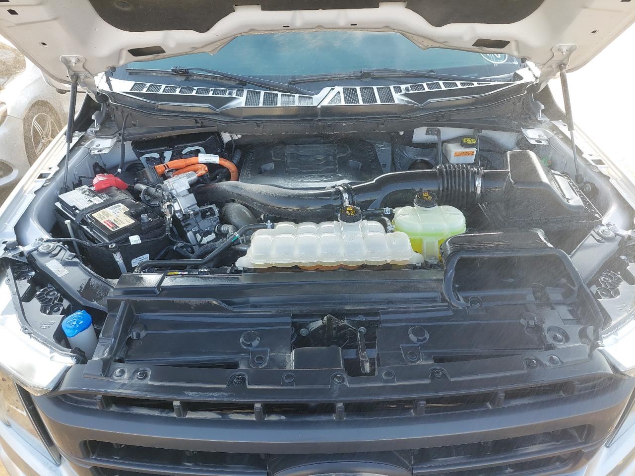 1FTFW1ED9MFA35004 - 2021 Ford F150 - #undefined