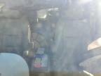2014 Honda Odyssey Exl zu verkaufen in Taylor, TX - Front End