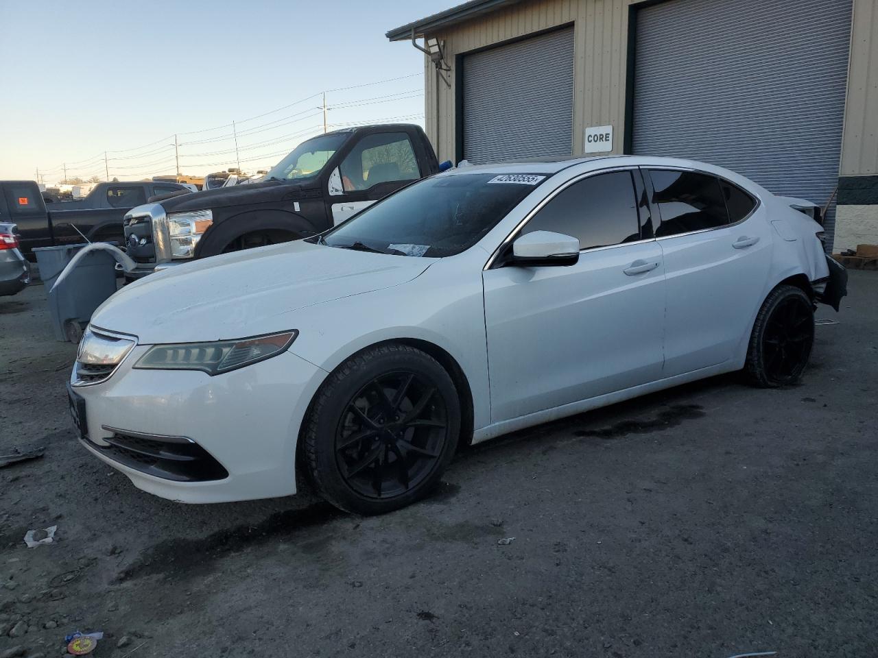 Acura TLX