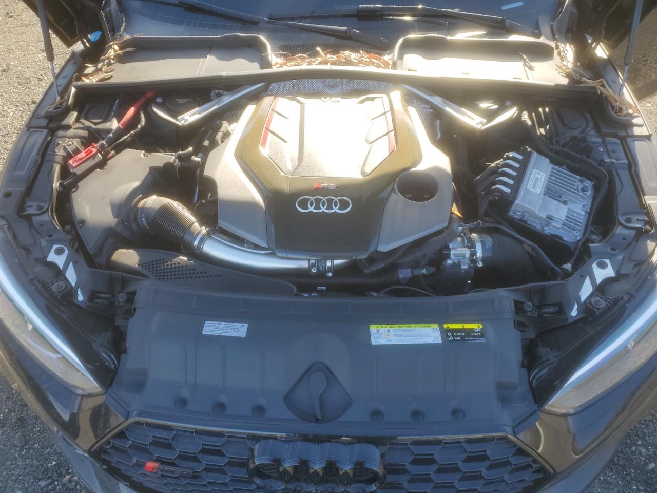 2019 Audi RS5 - Image 13