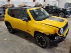 2017 Jeep Renegade Trailhawk for Sale in Mcfarland, WI - Front End