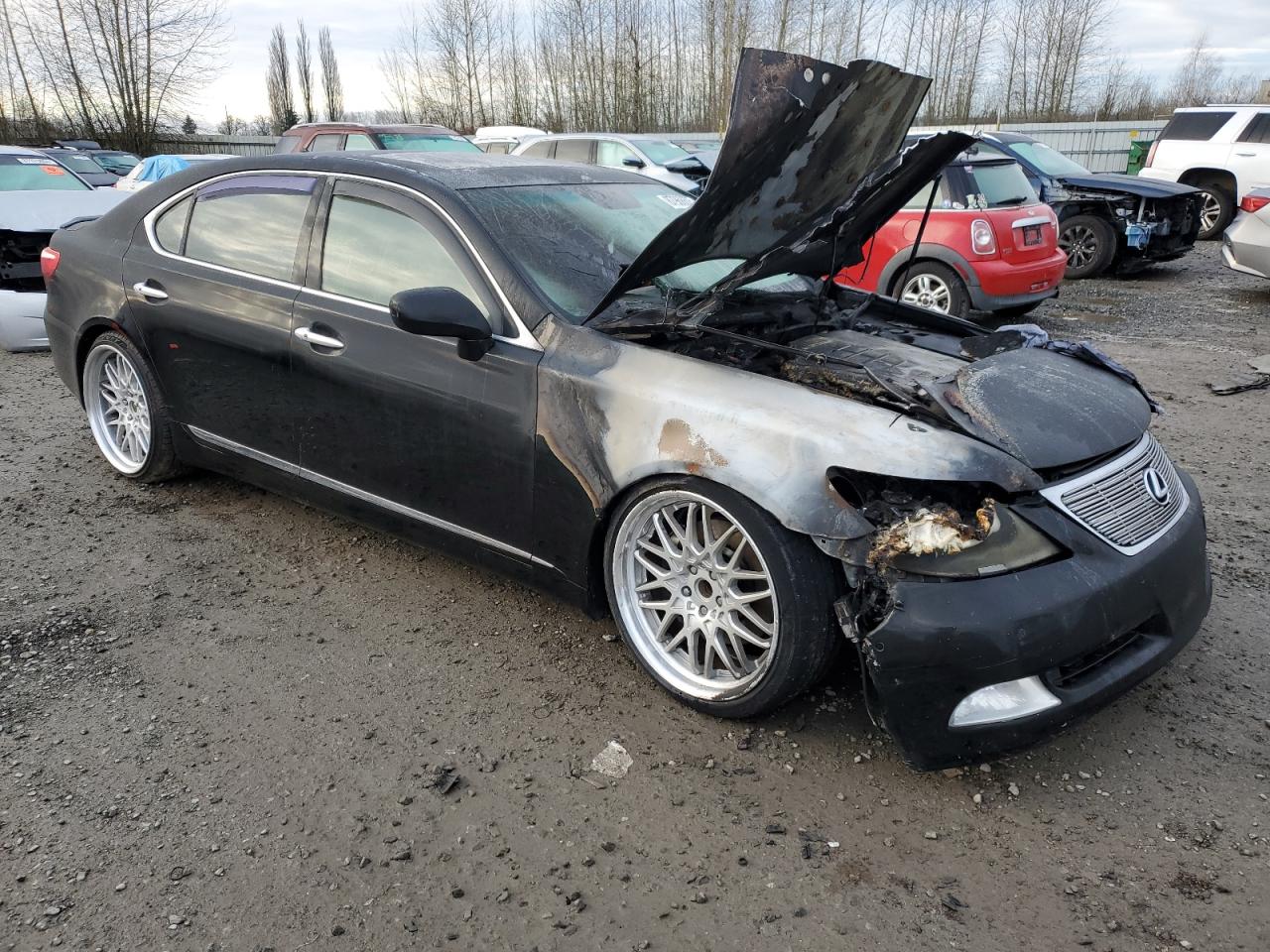 2007 Lexus LS - Image 4