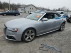 2016 Audi A5 Premium Plus S-Line იყიდება York Haven-ში, PA - Rear End