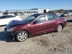 2010 Honda Accord Exl na sprzedaż w Lumberton, NC - Front End