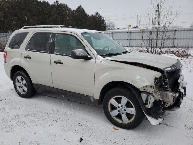 2009 FORD ESCAPE XLT