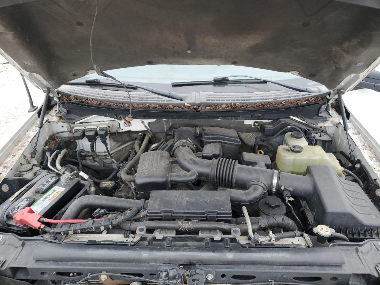 2010 Ford F-150 - Image 11