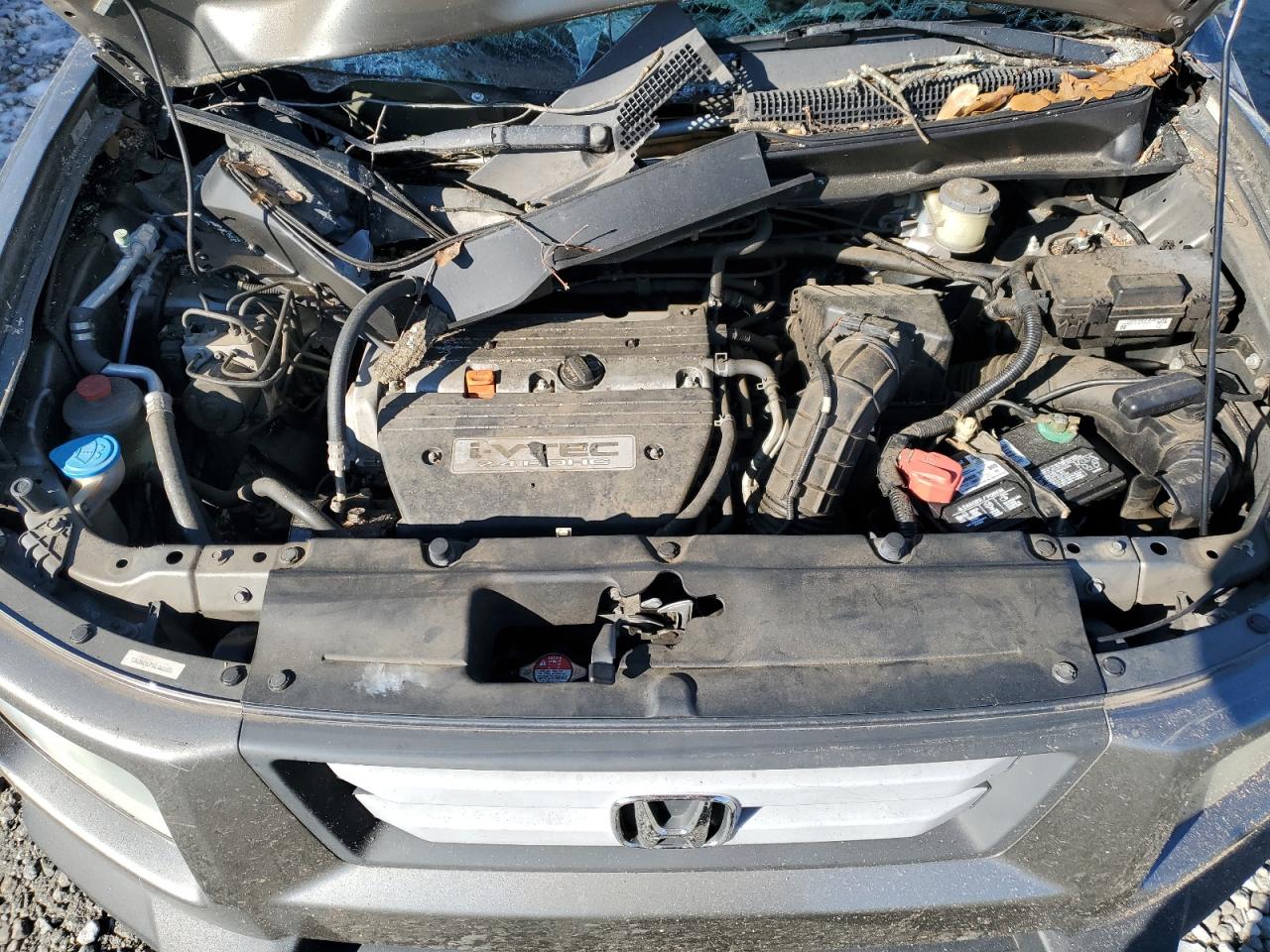 2007 Honda Element - Image 11