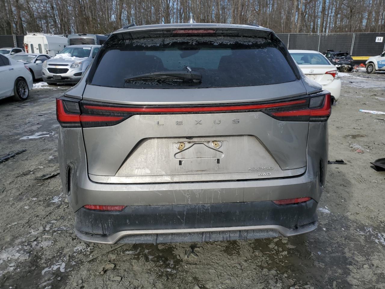 2023 Lexus NX - Image 6