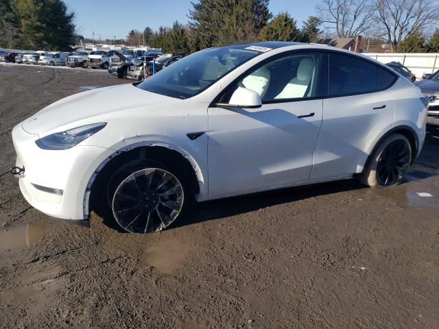  TESLA MODEL Y 2023 Белый